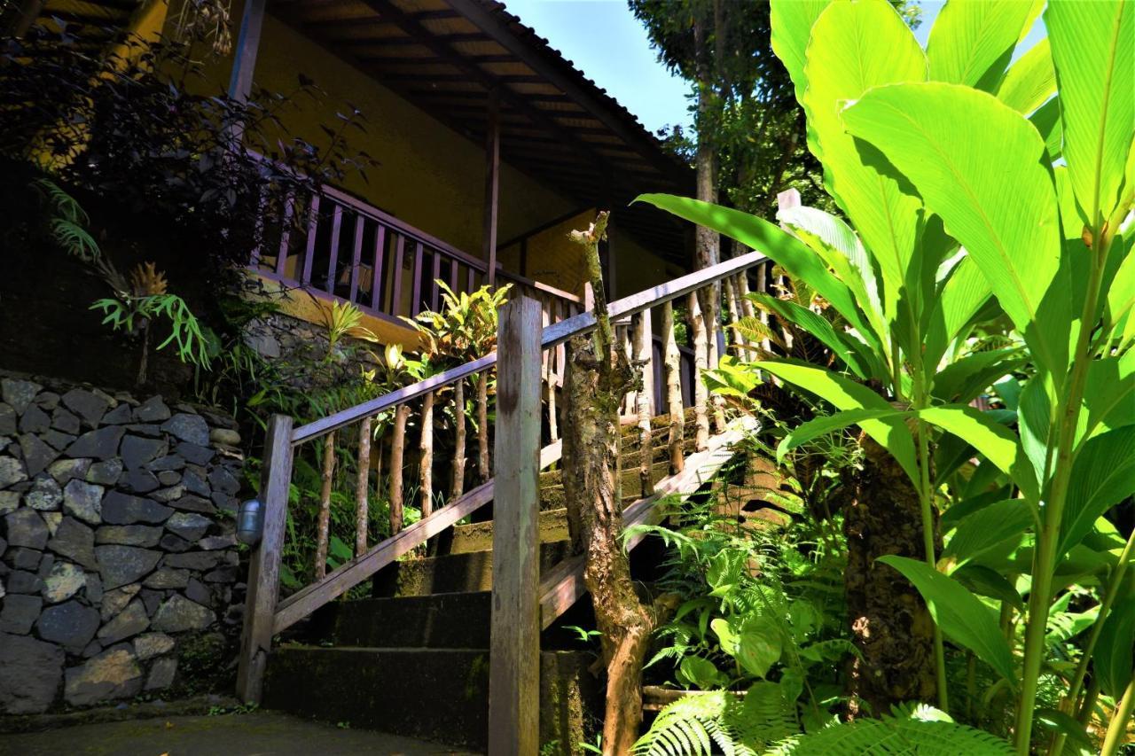 Swar Bali Lodge Munduk  Exterior photo